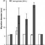 assassincoli2