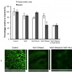 assassincoli3